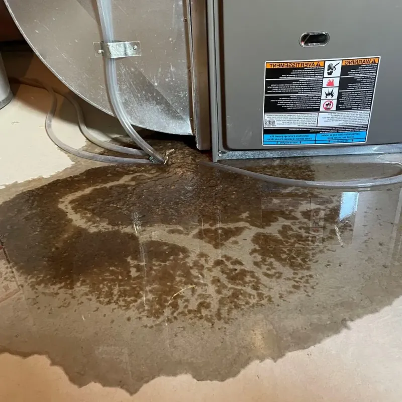Pipe Burst and Leak Restoration in New Stanton, PA