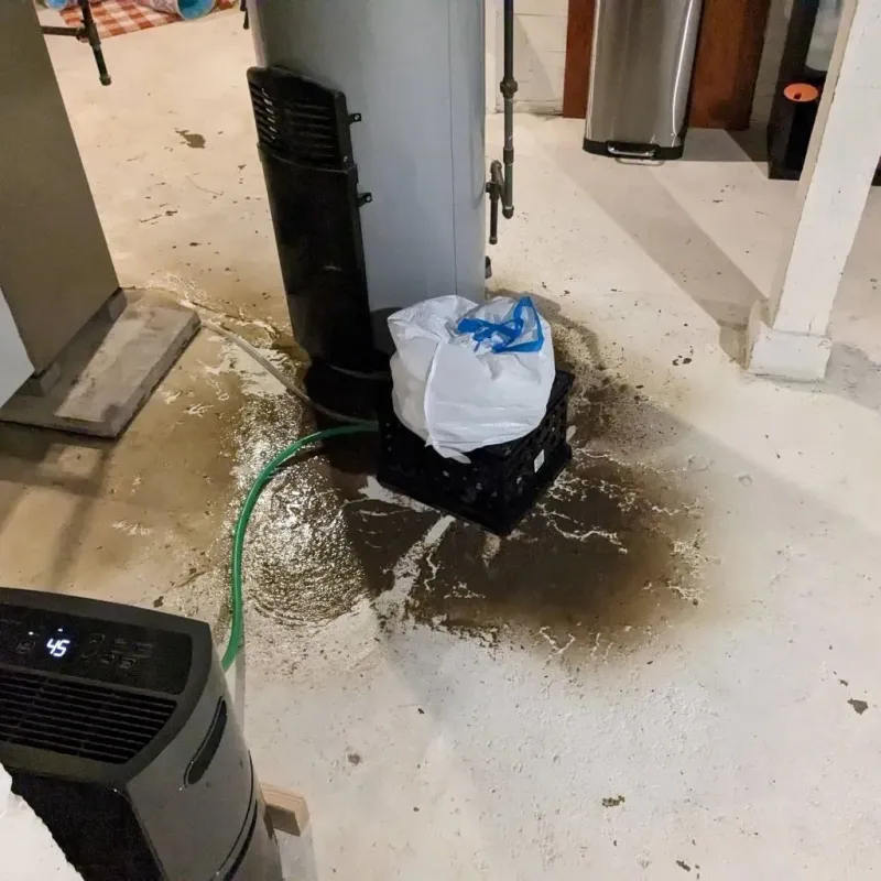 Sewage Backup Cleanup Service in New Stanton, PA